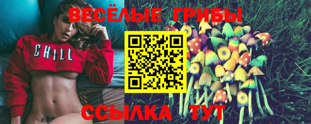 Шахты  Галлюциногенные грибы прущие грибы  Вход с VPN 